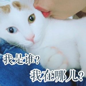 ​一句话 家长感谢老师最佳回复