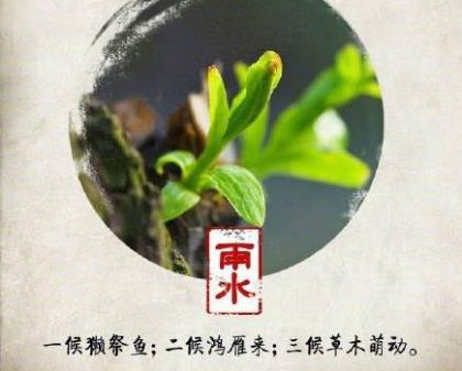 唯美句子