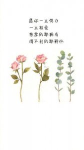 ​孩子愿你此生唯美句子