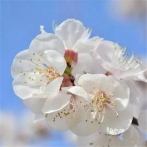 ​一天工作的感悟句子（2023工作感悟的句子）
