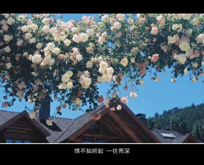 形容忙碌充实的成语