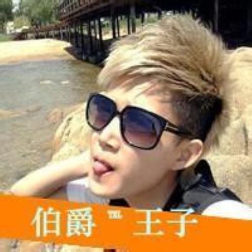 真感情句子