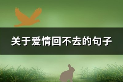 ​关于爱情回不去的句子(必备147句)