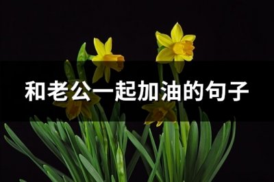 ​和老公一起加油的句子(共84句)