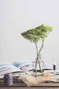 ​努力赚钱的励志句子（阳光简短励志唯美句子）