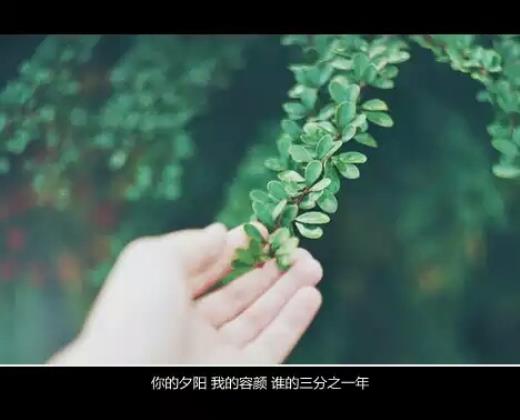 摘抄句子优美