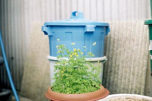 男个性签名唯美有气质(你走了我当你没来过…)