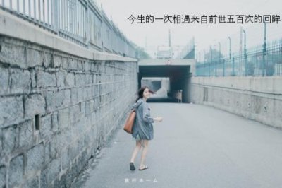 ​银杏树叶(关于银杏叶的简短句子)