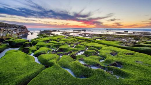 描写女子倾国倾城句子