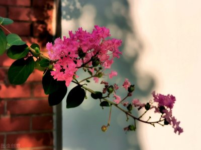 ​一切都已过去的唯美美文句子：一切都会过去，余生好好爱自己