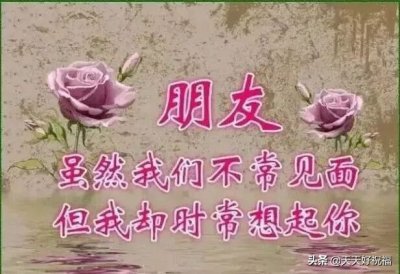 ​很走心的早安祝福语唯美句子，最新的早上好问候表情图片