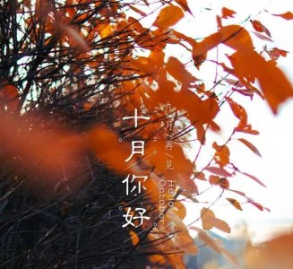 ​形容十月的祝福文案 唯美句子  十月你好 |10月，愿你活得认真，恰似岁月归人
