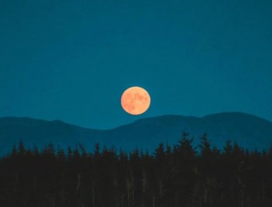 ​十五的月亮十六圆美句（21句十五的月亮唯美短句）