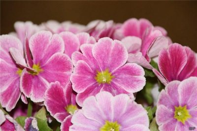 ​关于早安的唯美句子（一句话精致早安）