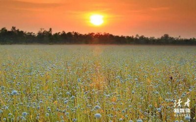 ​朋友情谊的句子短句(经典句子短句唯美)