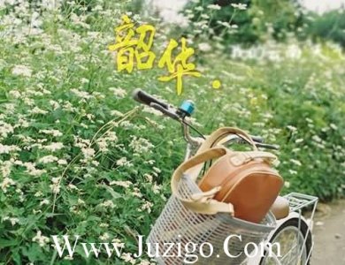 ​爱情人生感悟语录最经典的爱情语录(精选80句)