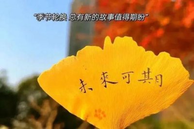 ​秋天的唯美句子文案（你确定要错过秋天的唯美文案）