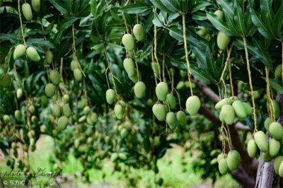 ​关于停下脚步的唯美句子，多停下脚步看一下人生道路的风景（说的真好）