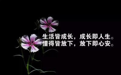 ​天真和现实的经典语录（8句讽刺天真的句子）