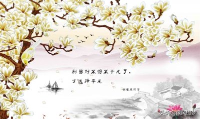 ​孩子的纯真的经典句子，直击要害，老人的话凝练，包罗万象