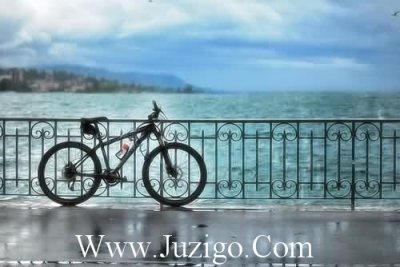 ​海的经典语录77句
