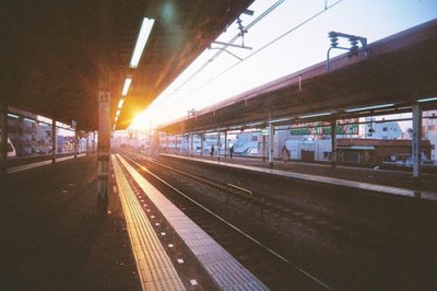 ​春分节气朋友圈说说文案(精选106句)