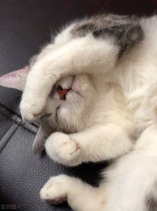 ​治愈心灵的唯美句子可爱短句