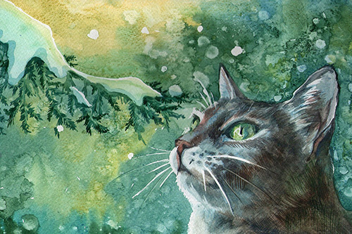 深情唯美句子(91句)