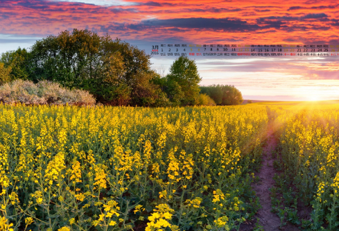 1689330948127189.png image.png