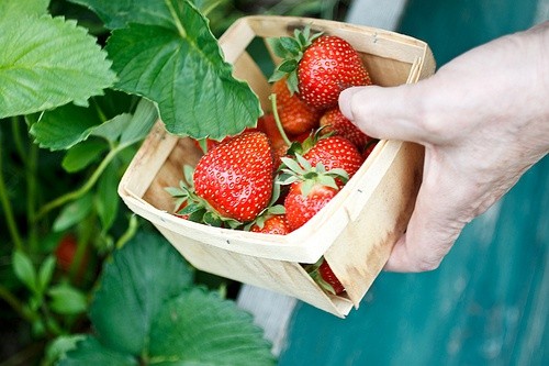 无姓之人经典句子21句