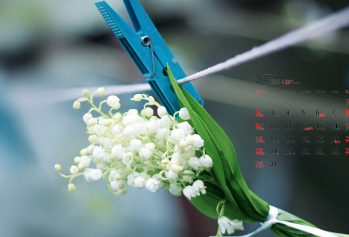 1683111019132146.png image.png