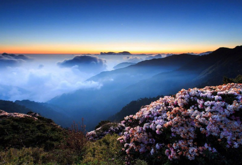 1689268028135253.png image.png