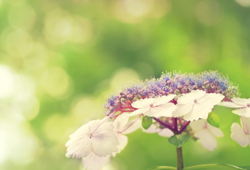 1683111682607780.png image.png