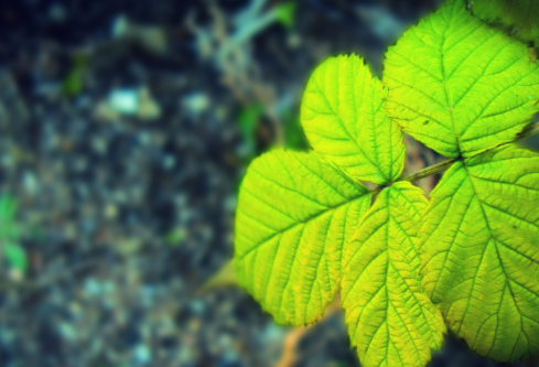 1689273707921869.png image.png