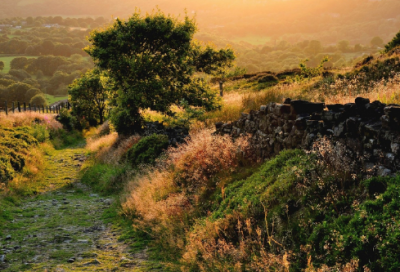 ​空间起名400例