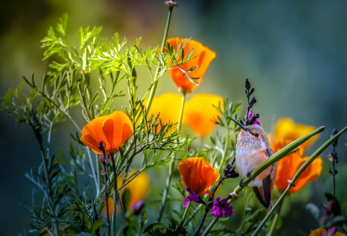 1689278849553819.png image.png