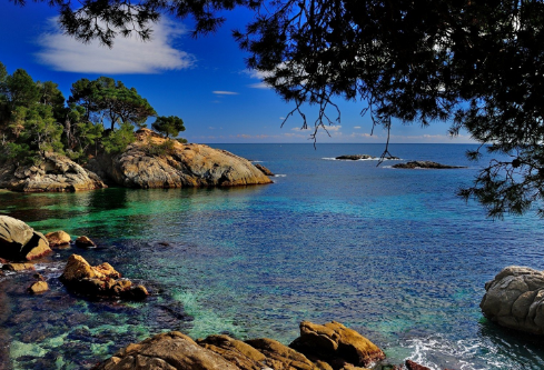 1689300469907540.png image.png