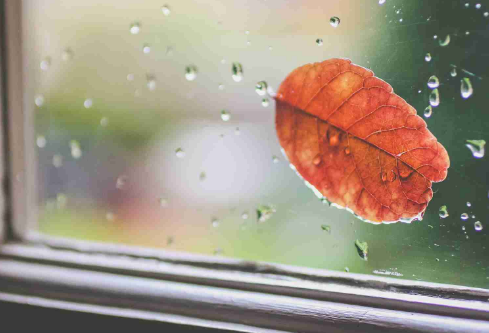 1689300634138308.png image.png