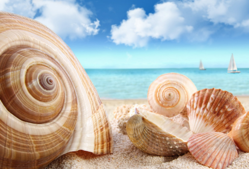 1684517333100147.png image.png