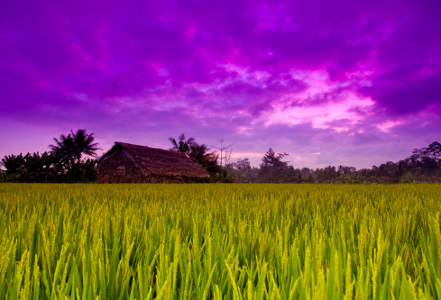 1683902986958360.png image.png