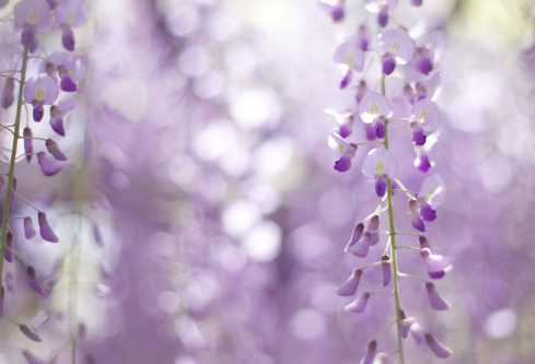 1686282956780854.png image.png