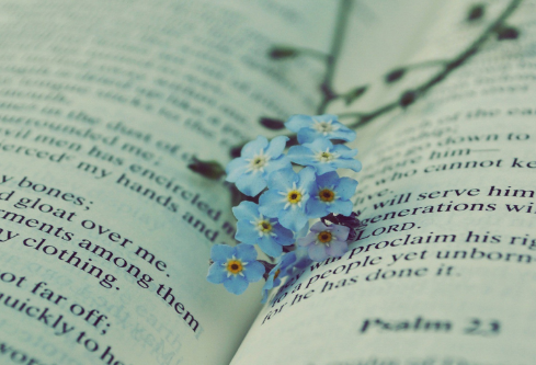 1683903483107751.png image.png