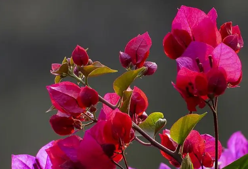 1685724737966493.png image.png