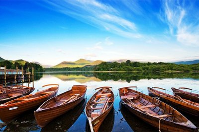 ​到灯塔去经典语录23句