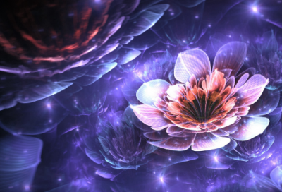 ​微信家族网名文艺唯美195个