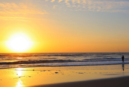 1685719242974885.png image.png