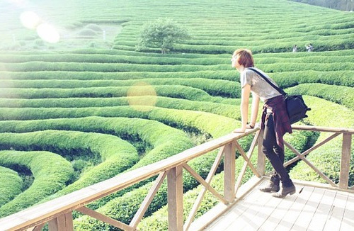 写陶醉的句子(45句)