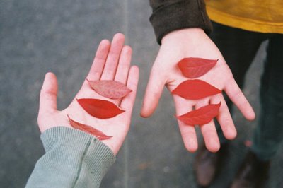 ​珍惜水的句子62句