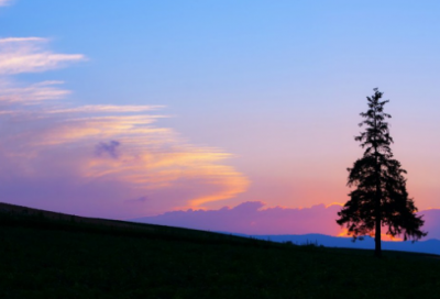 ​帅气的英文网名67个