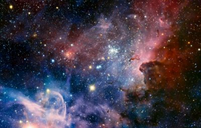 ​个性宠物名大全精选121个